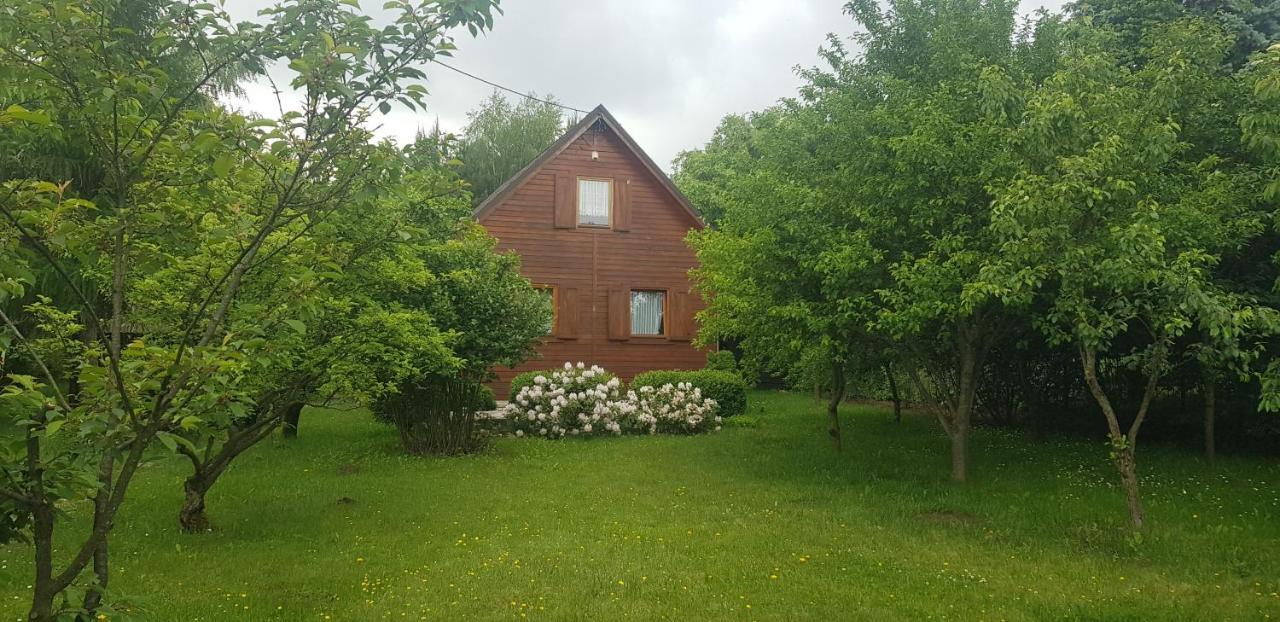 Szyszka i Róża Domek na Jurze Zelazko Exterior foto