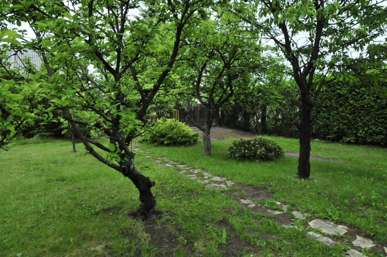 Szyszka i Róża Domek na Jurze Zelazko Exterior foto