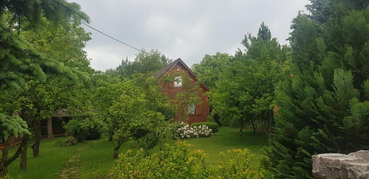 Szyszka i Róża Domek na Jurze Zelazko Exterior foto