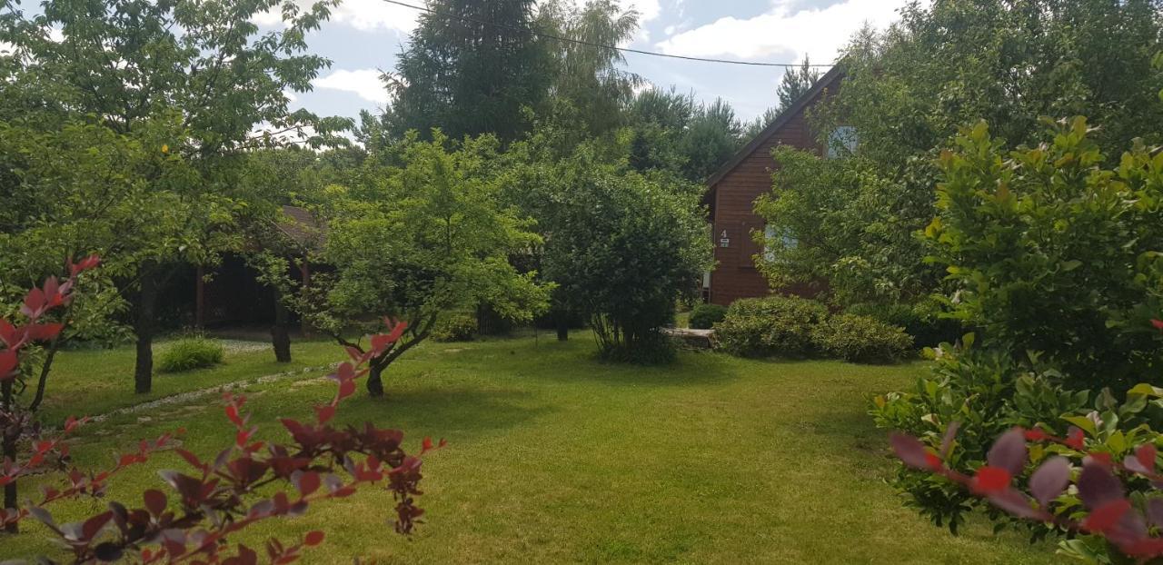 Szyszka i Róża Domek na Jurze Zelazko Exterior foto